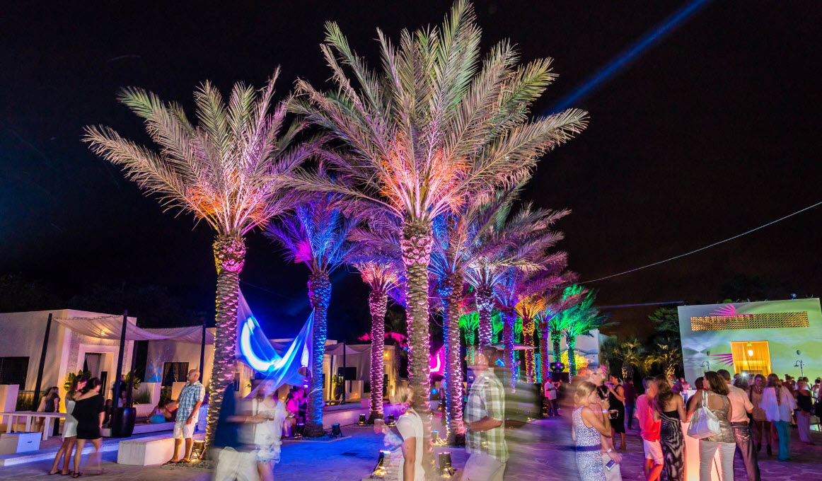 Palm trees glowing with colorful lights at an evening event