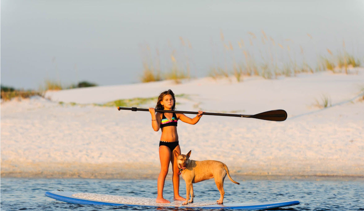 Woman paddleboarding with a dog beside a white beach