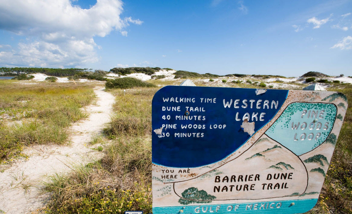 Hand-painted nature trail sign among white dunes