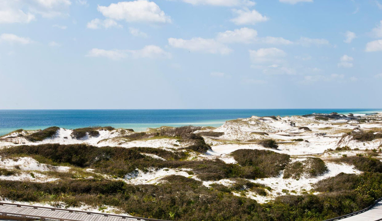 Blue Gulf beyond rolling dunes and coastal vegetation
