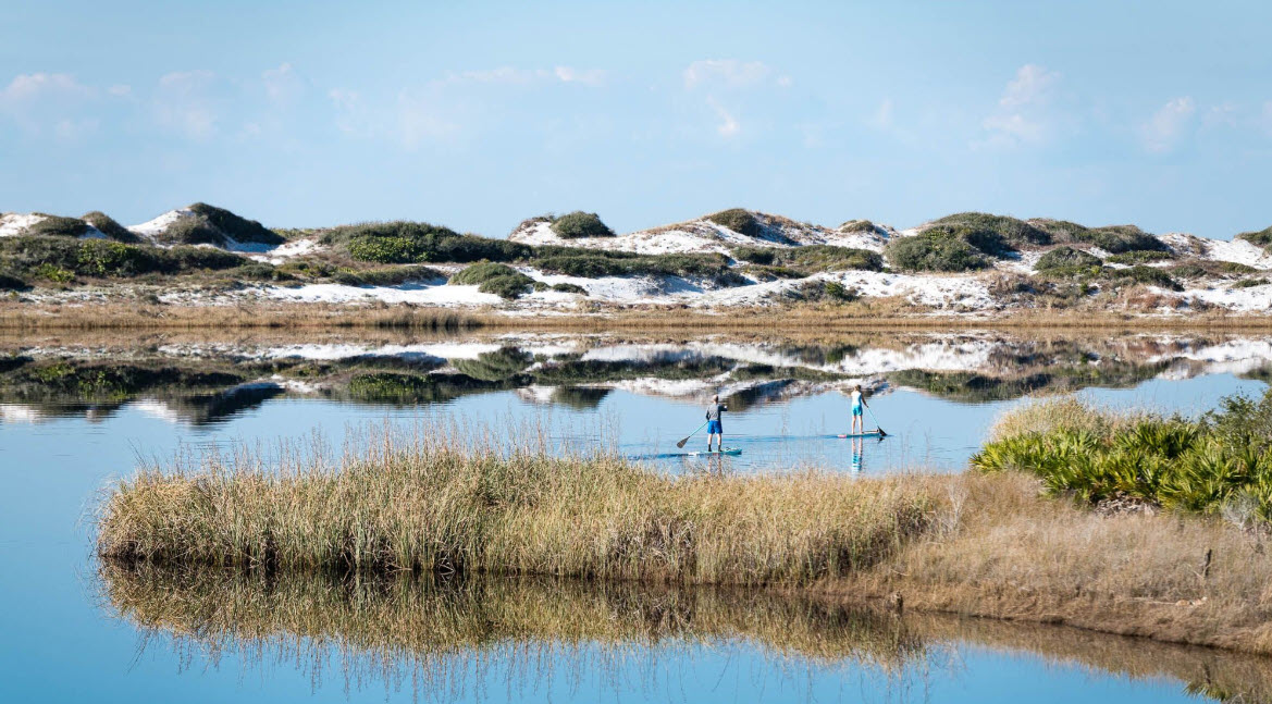 Still marsh pools nestled among pale coastal dunes